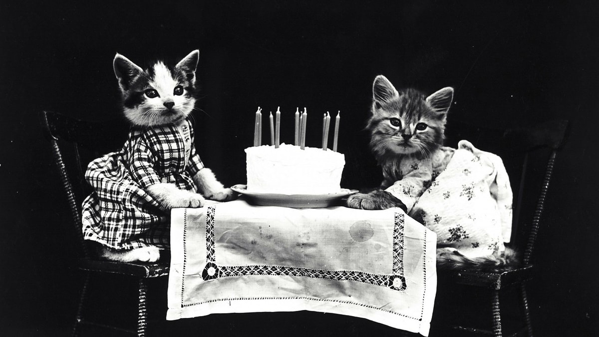 ¡Feliz cumpleaños Monse!